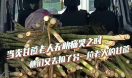 甘蔗老人视频爆料者,背后真相令人震惊